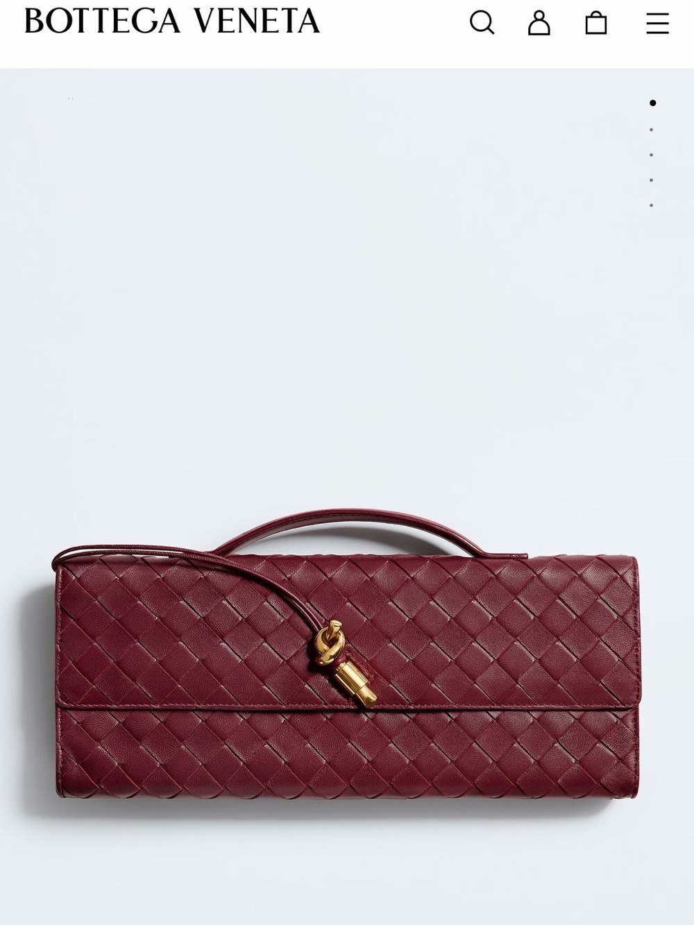 Bottega Veneta Andiamo clutch